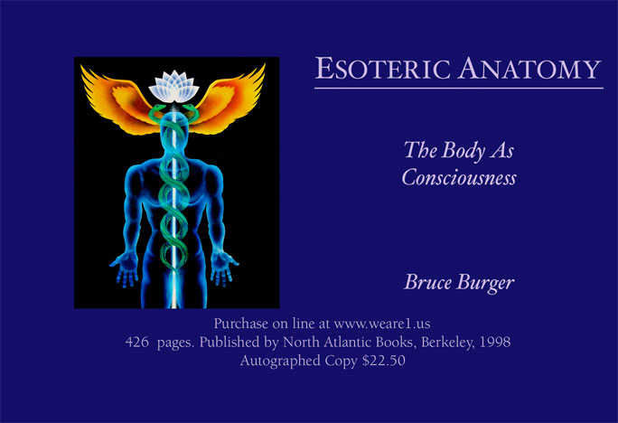 Buy Esoteric Anatomy