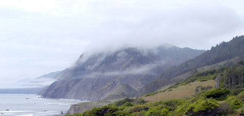 lost coast, redwoods